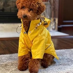 Dog yellow rain coat, Size XL(28”-31”chest)